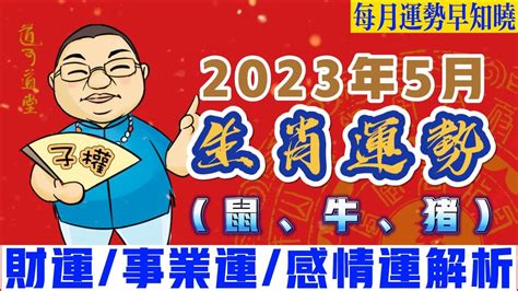 2022屬豬每月運勢|【豬】2022 生肖整體運勢